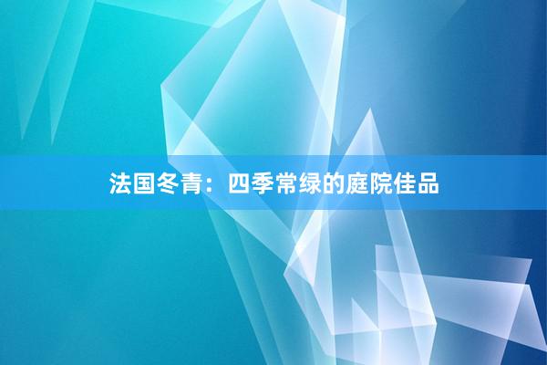 法国冬青：四季常绿的庭院佳品