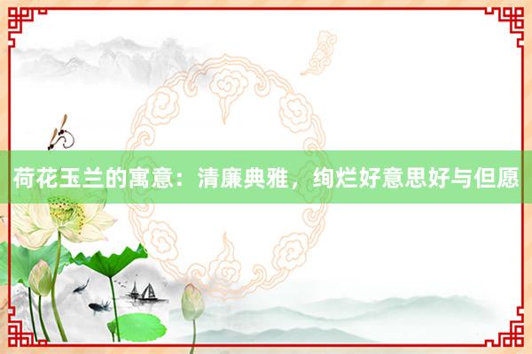 荷花玉兰的寓意：清廉典雅，绚烂好意思好与但愿