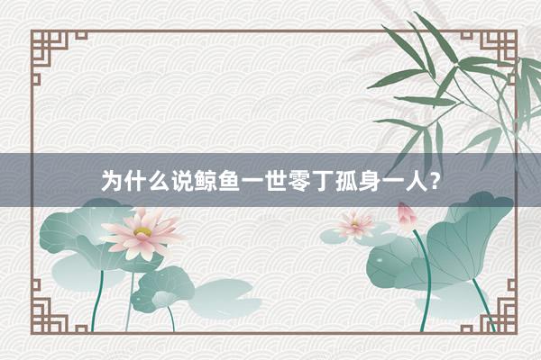 为什么说鲸鱼一世零丁孤身一人？