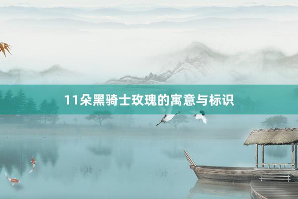 11朵黑骑士玫瑰的寓意与标识