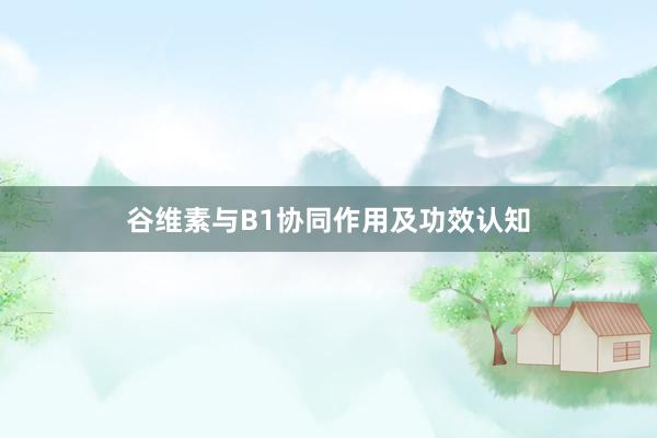 谷维素与B1协同作用及功效认知